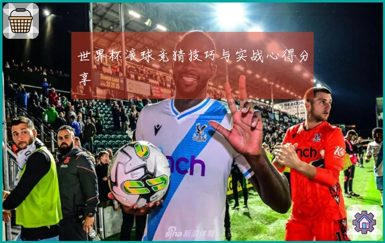 世界杯滚球竞猜技巧与实战心得分享