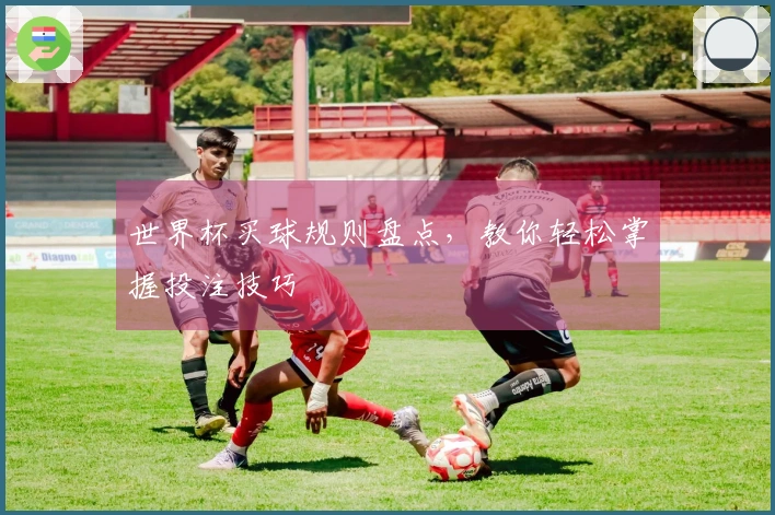 世界杯买球规则盘点，教你轻松掌握投注技巧