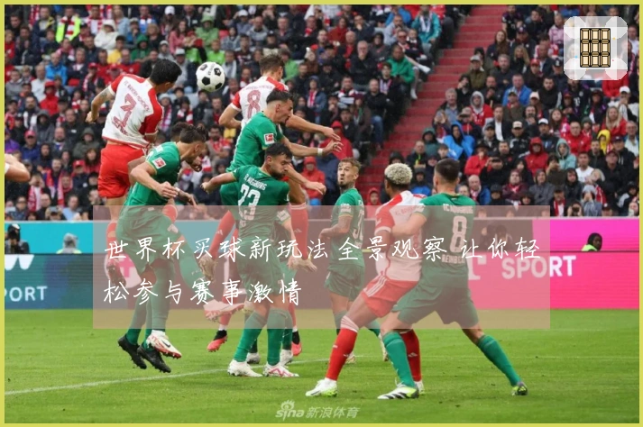 世界杯买球新玩法全景观察 让你轻松参与赛事激情