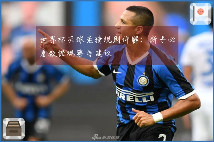 世界杯买球竞猜规则详解：新手必看数据观察与建议