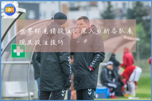 世界杯竞猜投注：深入分析各队表现及投注技巧