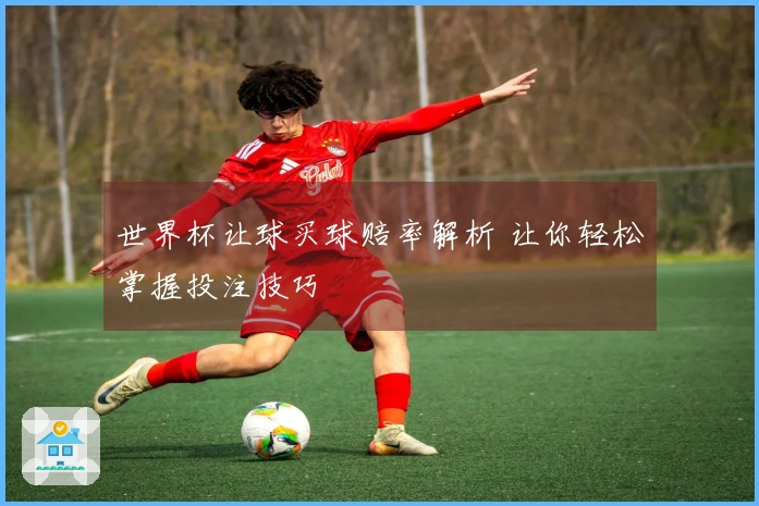 世界杯让球买球赔率解析 让你轻松掌握投注技巧