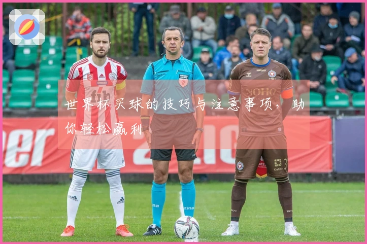世界杯买球的技巧与注意事项，助你轻松赢利