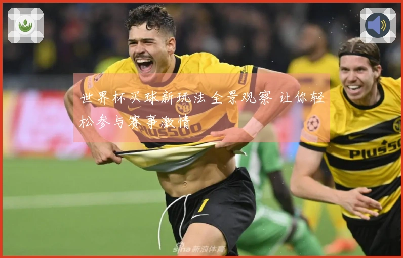 世界杯买球新玩法全景观察 让你轻松参与赛事激情