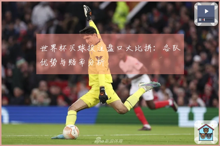 世界杯买球投注盘口大比拼：各队优势与赔率分析