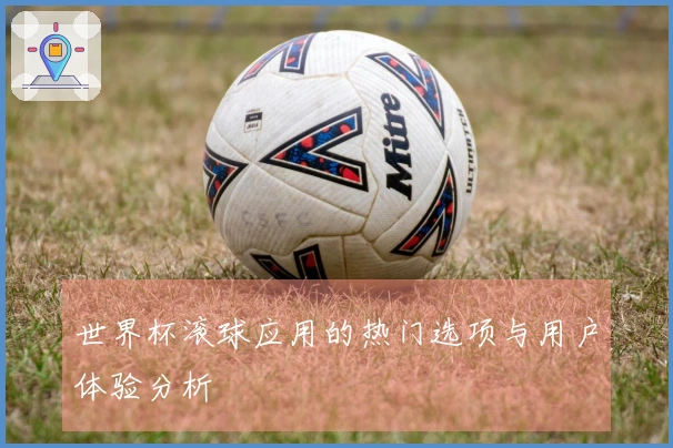 世界杯滚球应用的热门选项与用户体验分析
