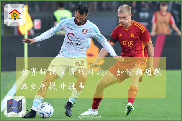 世界杯投注技巧对比：如何利用数据分析提升胜率