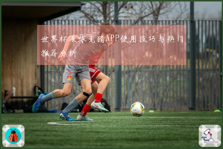 世界杯滚球竞猜APP使用技巧与热门推荐分析