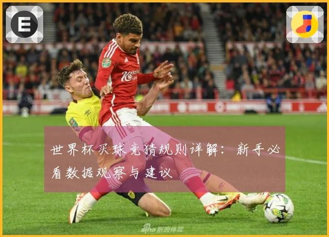 世界杯买球竞猜规则详解：新手必看数据观察与建议